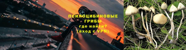 тгк Кулебаки