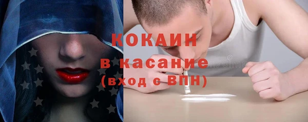 индика Кукмор
