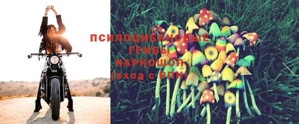 тгк Кулебаки