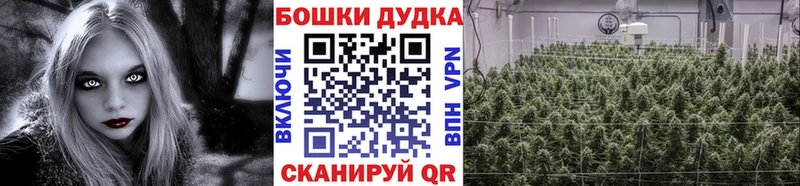 mega как войти  Нерчинск  Конопля AK-47  дарнет шоп 